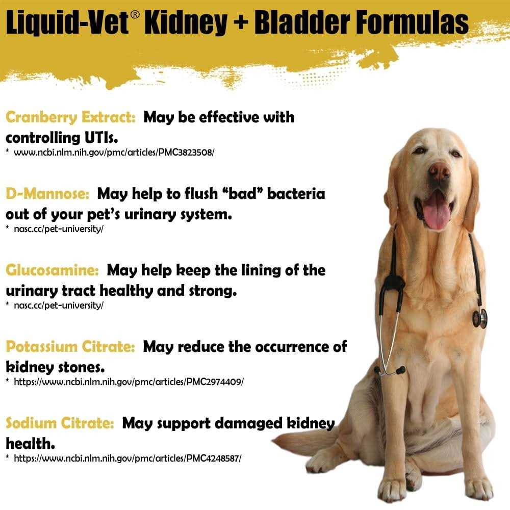 Feline Kidney & Bladder Support E290