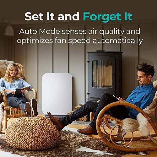 True HEPA Air Purifier R88977