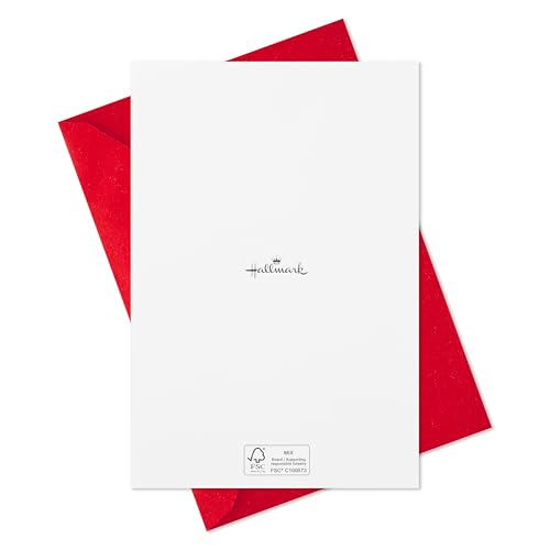 40 Cards and 40 Envelopes Red Front Door Boxed Christmas Cards N202