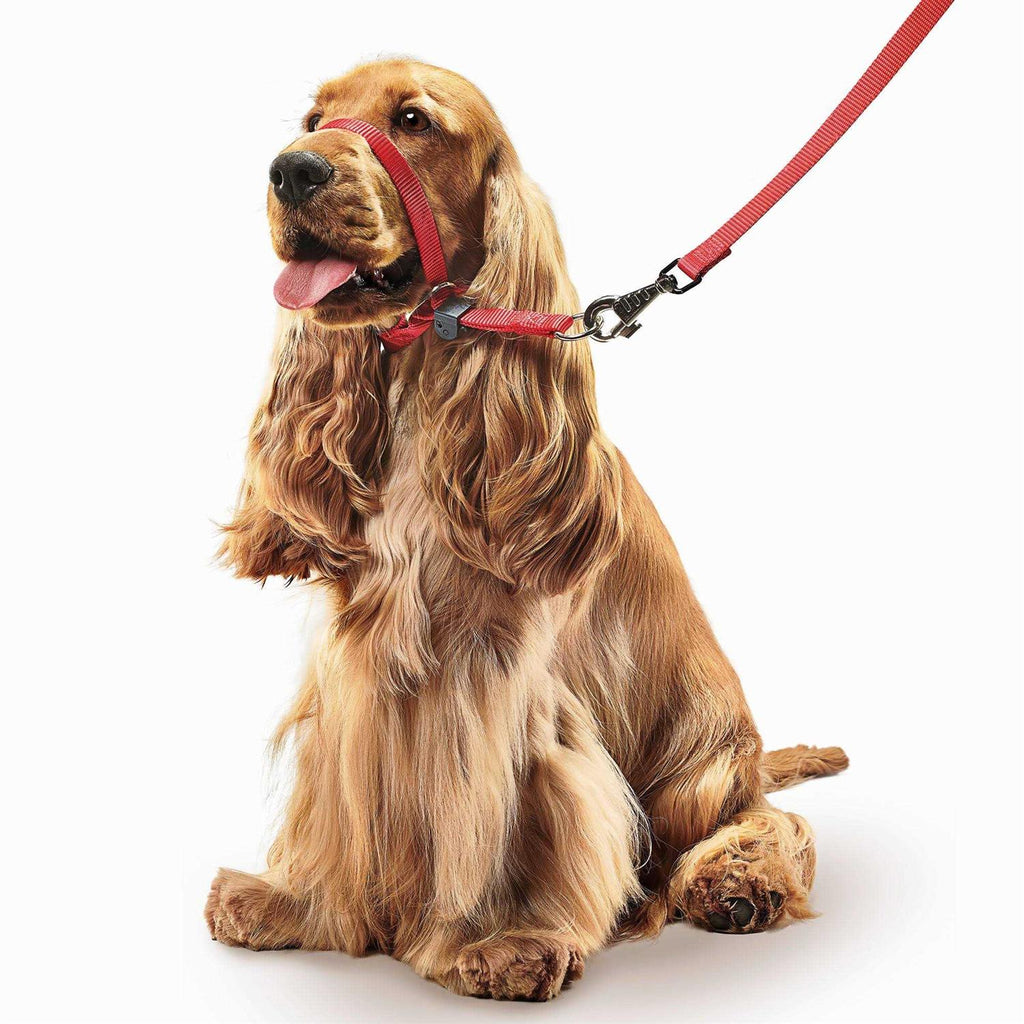 Gentle Leader Head Collar Dogs V254