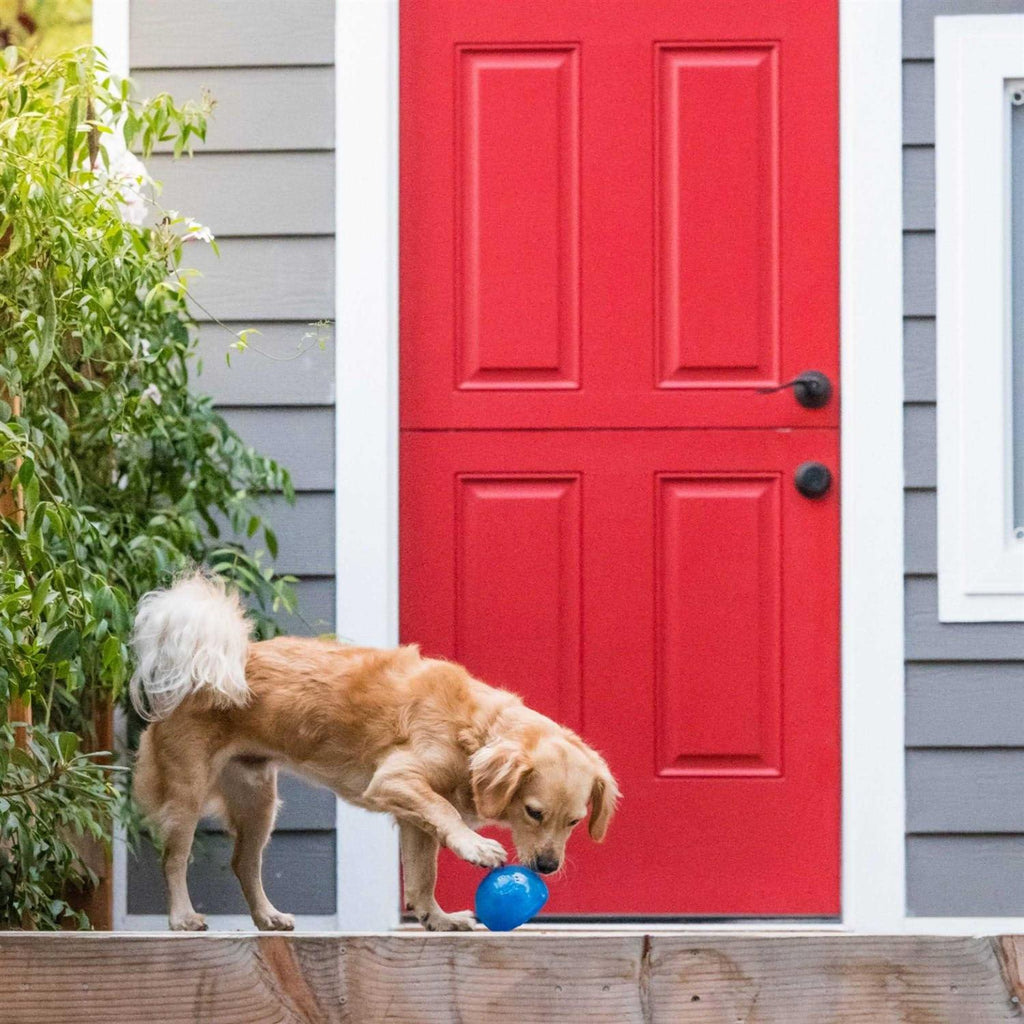 Dog Toy E557