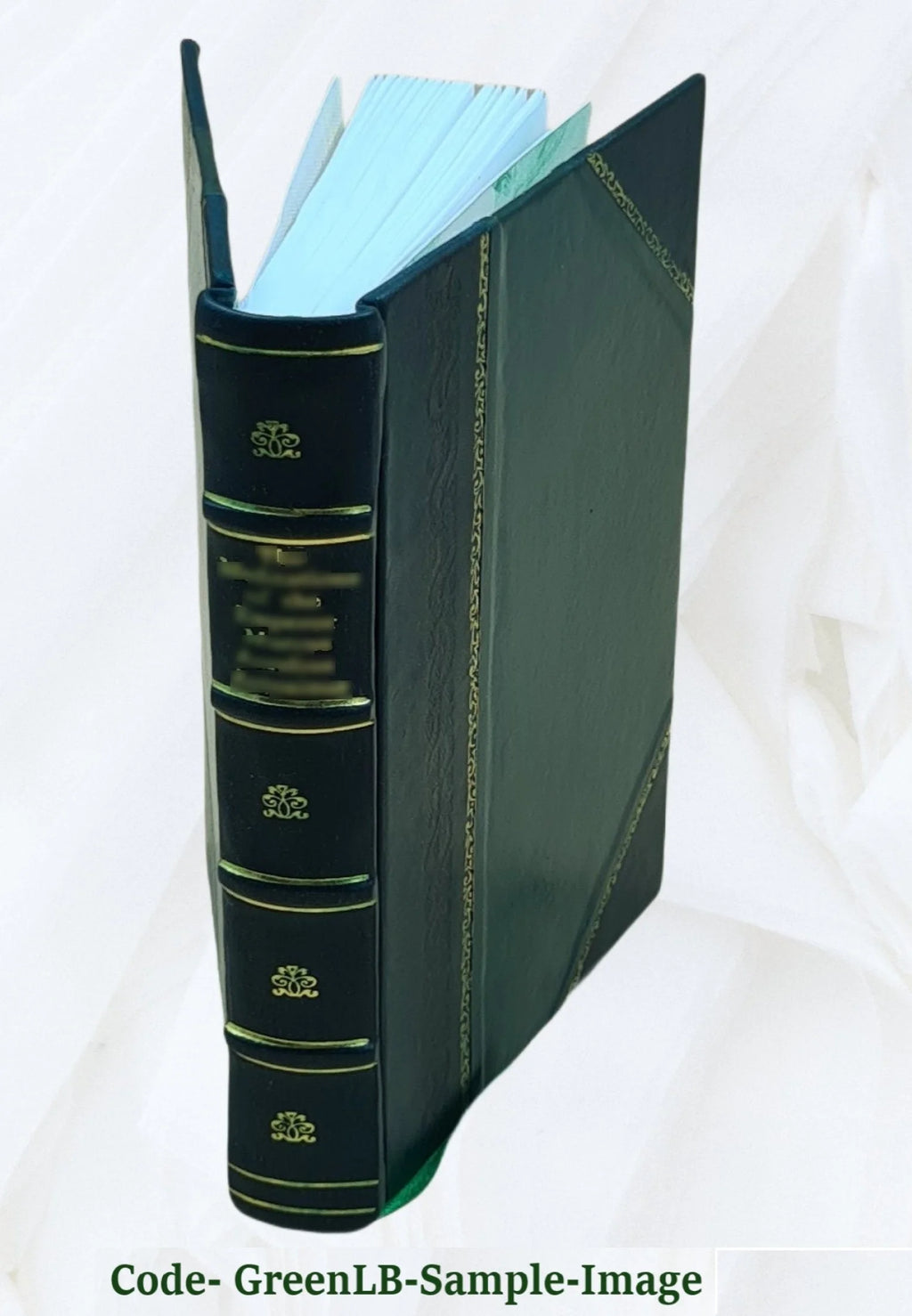 Leather Bound Book C15262