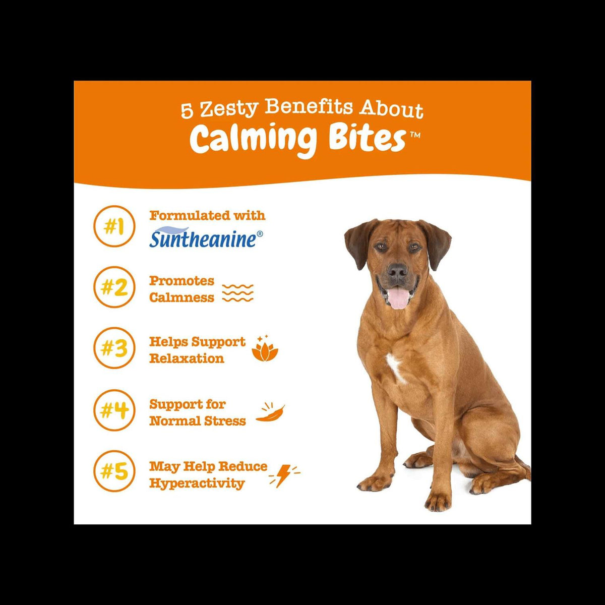 Calming Bites Soft Chews for Dogs T415