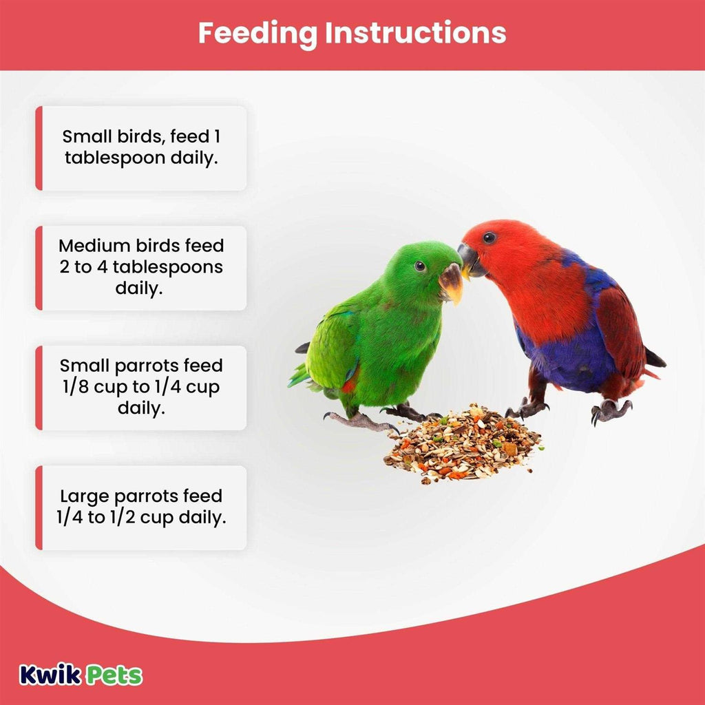Eclectus Pet Food G96500