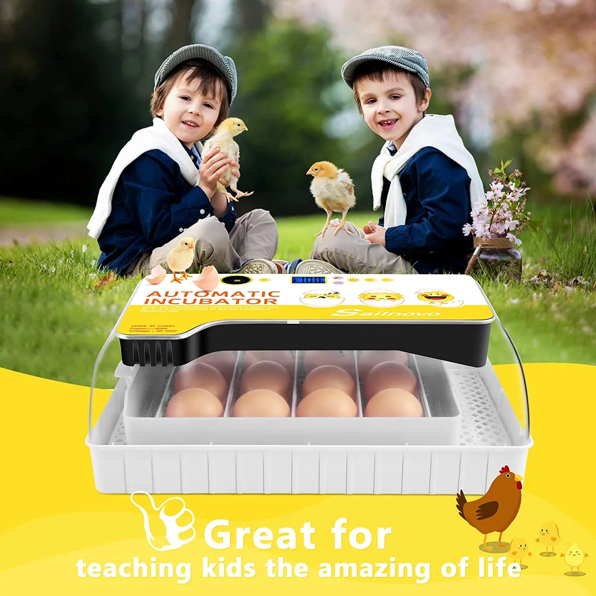 12-24 Eggs Incubator with Automatic Egg Turning and Temperature Control W98065