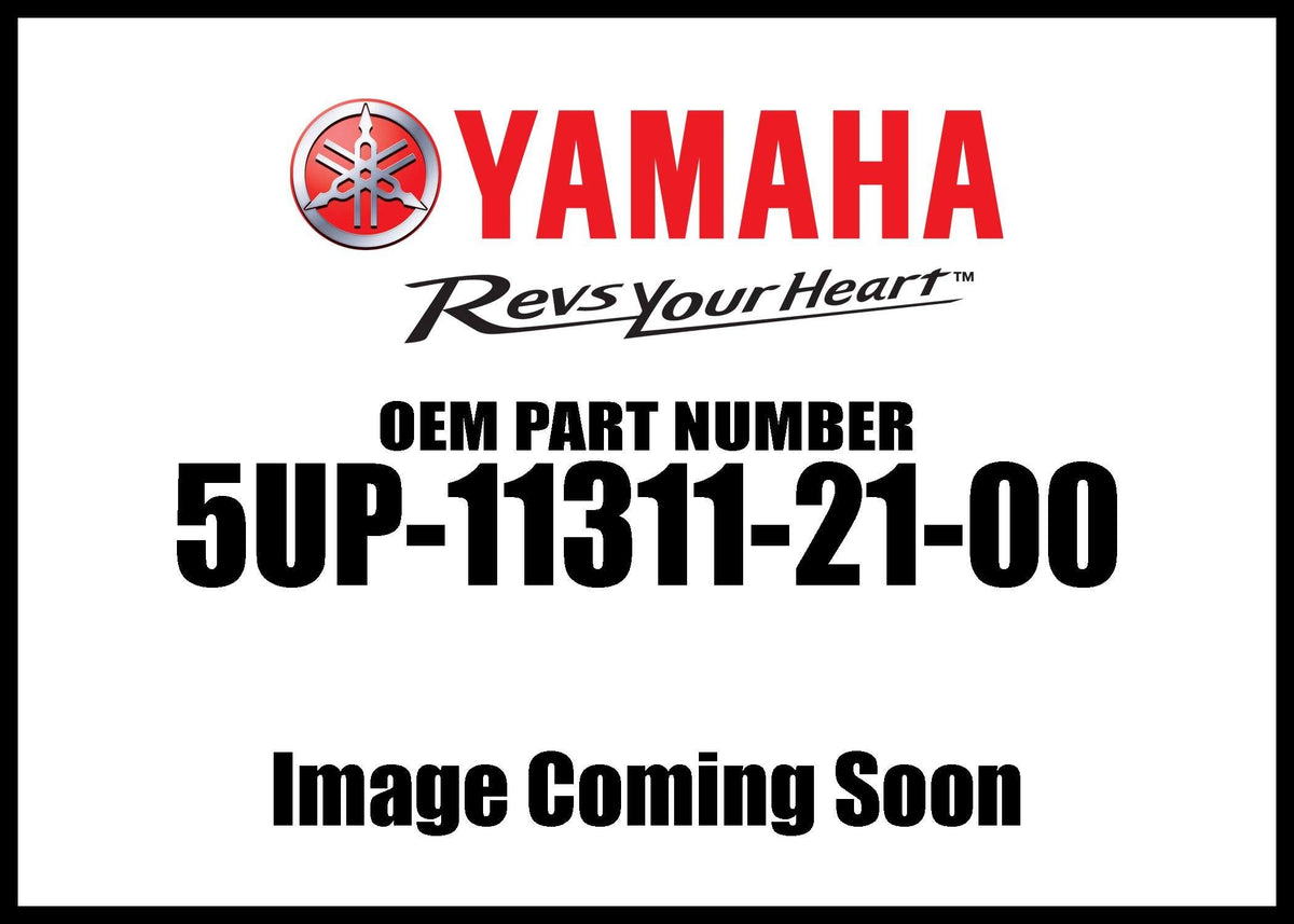 YZ250 Cylinder C348