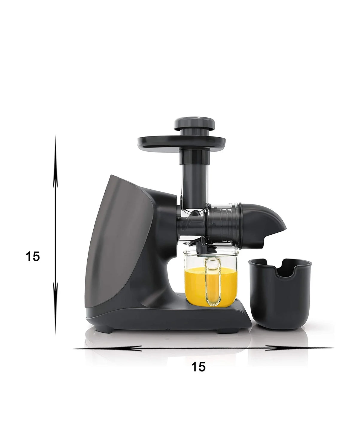Cold Press Slow Juicer with Total Pulp Control (Black) R3807