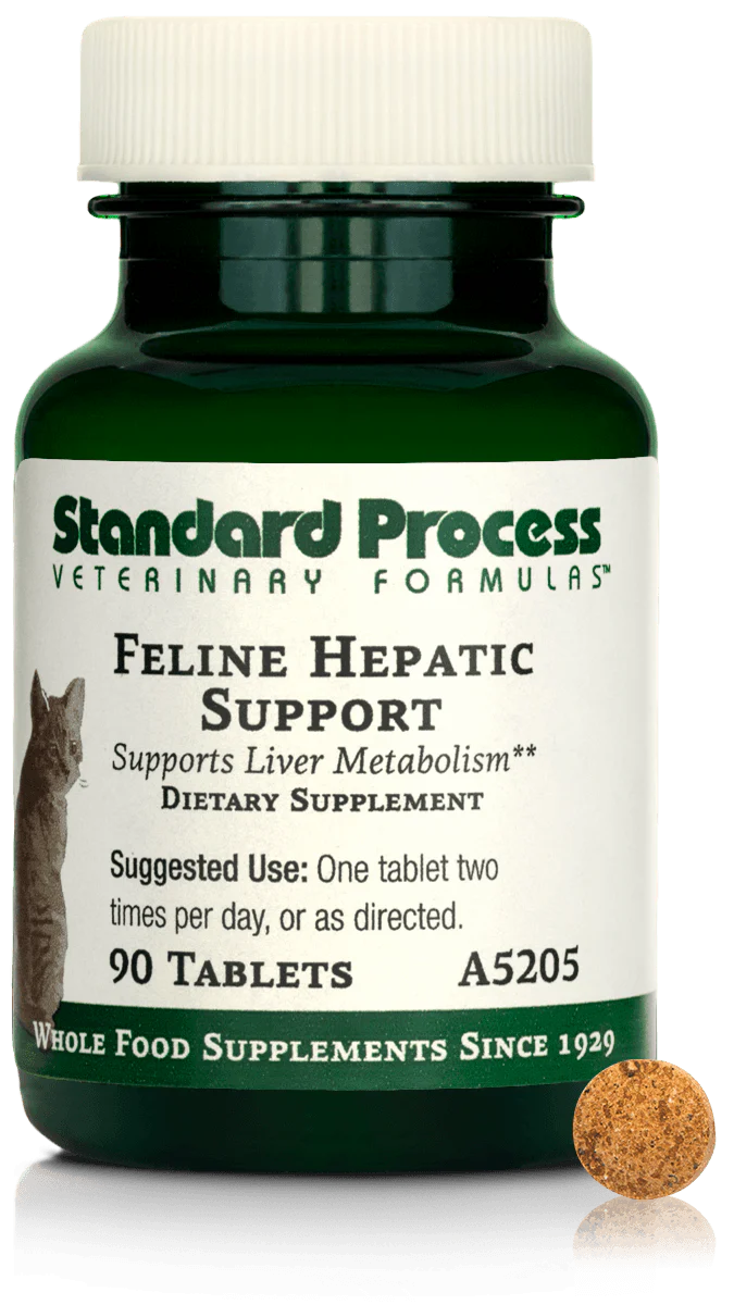 90 Tablets Hepatic Support K516
