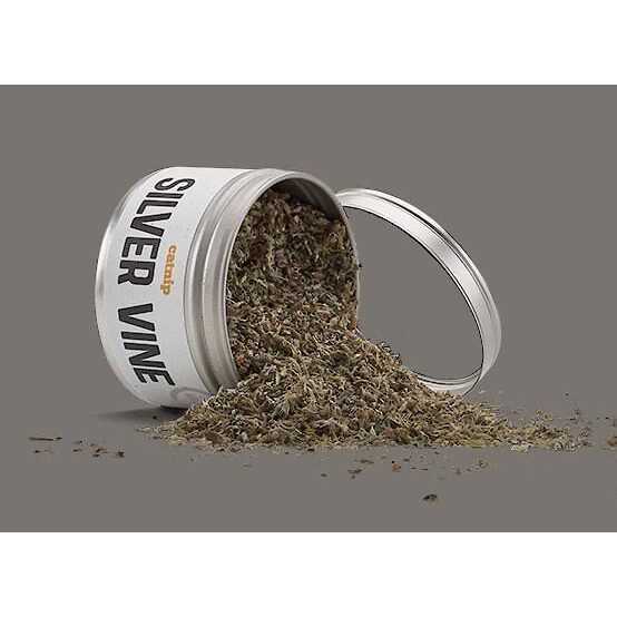 Silver Vine Catnip J986963