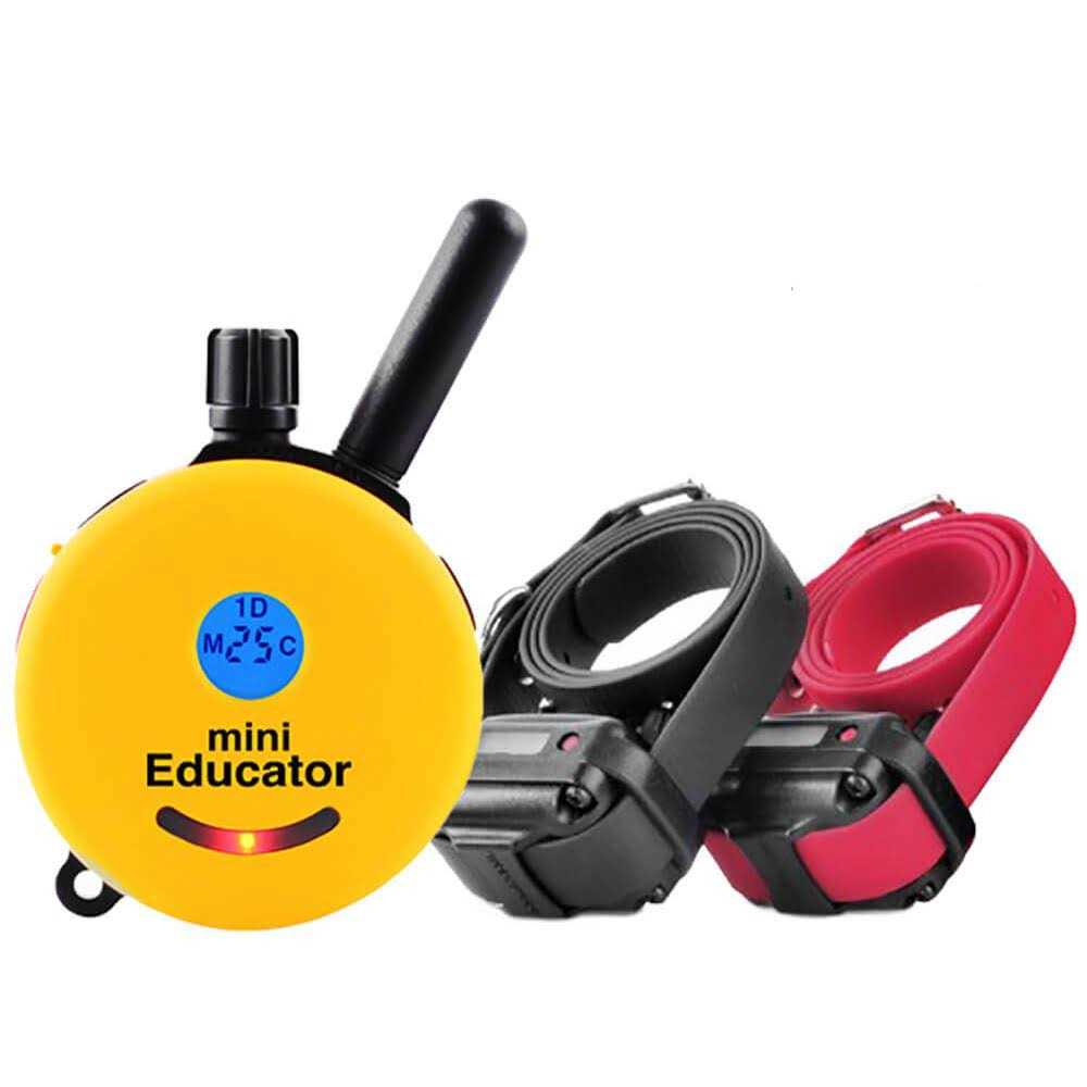 Dog Collar Remote D77719