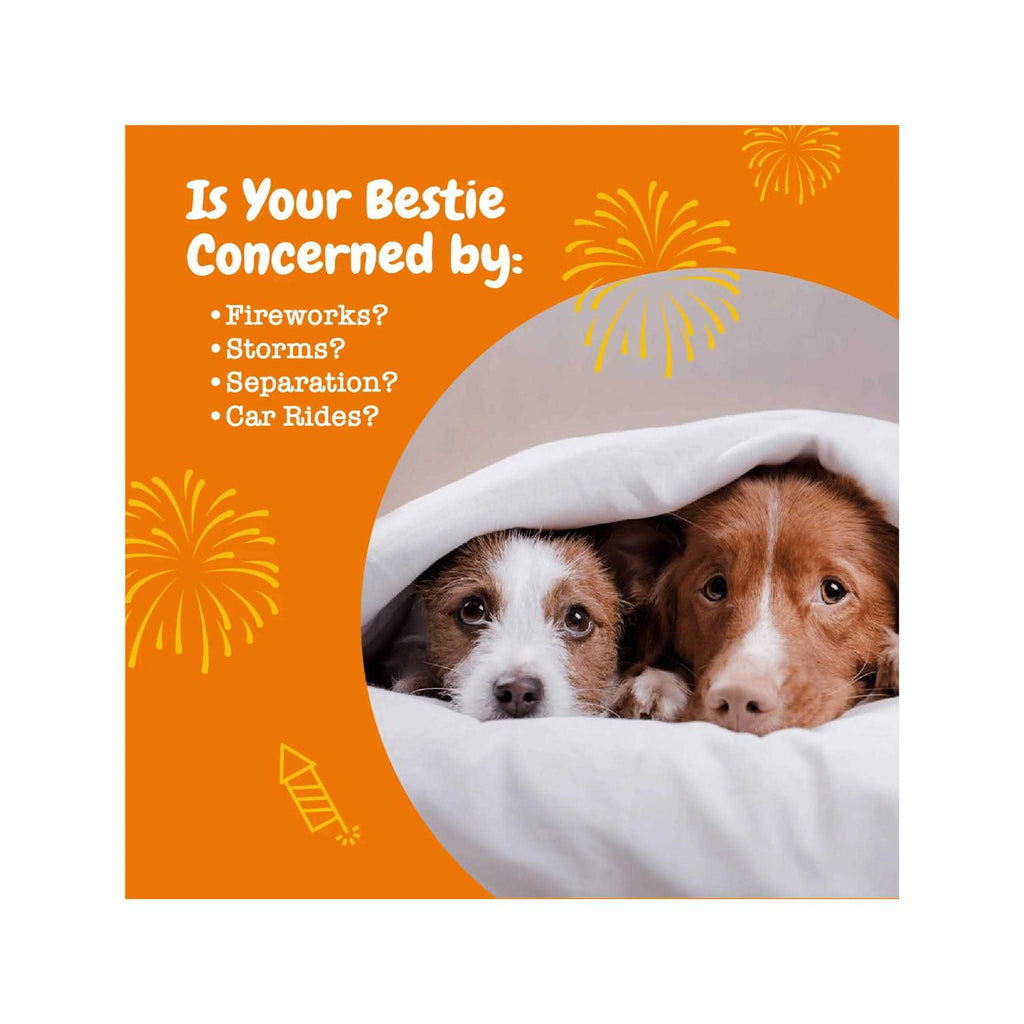 Calming Bites Soft Chews for Dogs T415