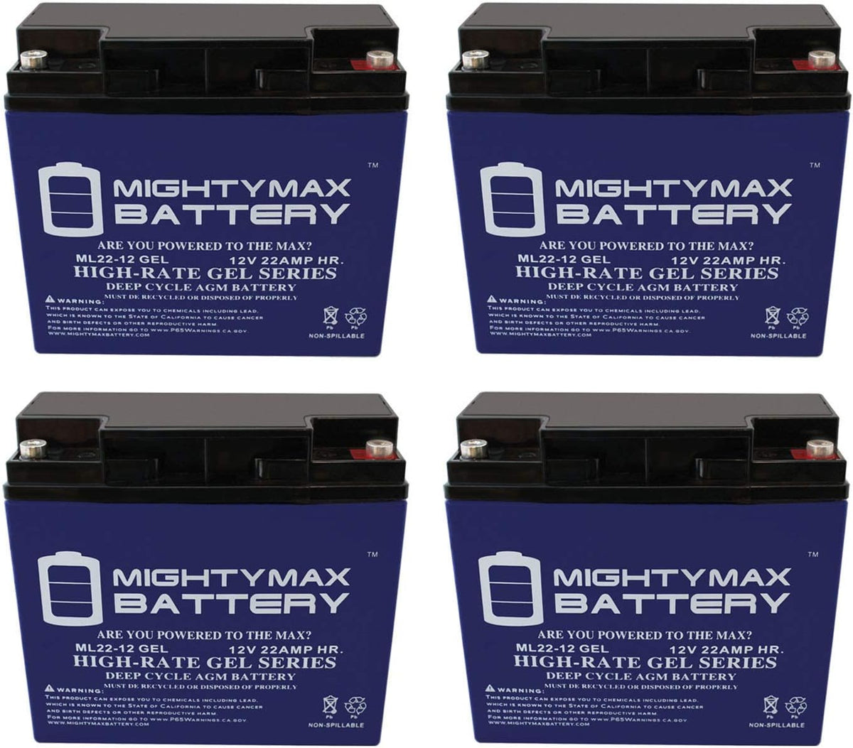 22 AH Gel Battery Pack of 2 T899