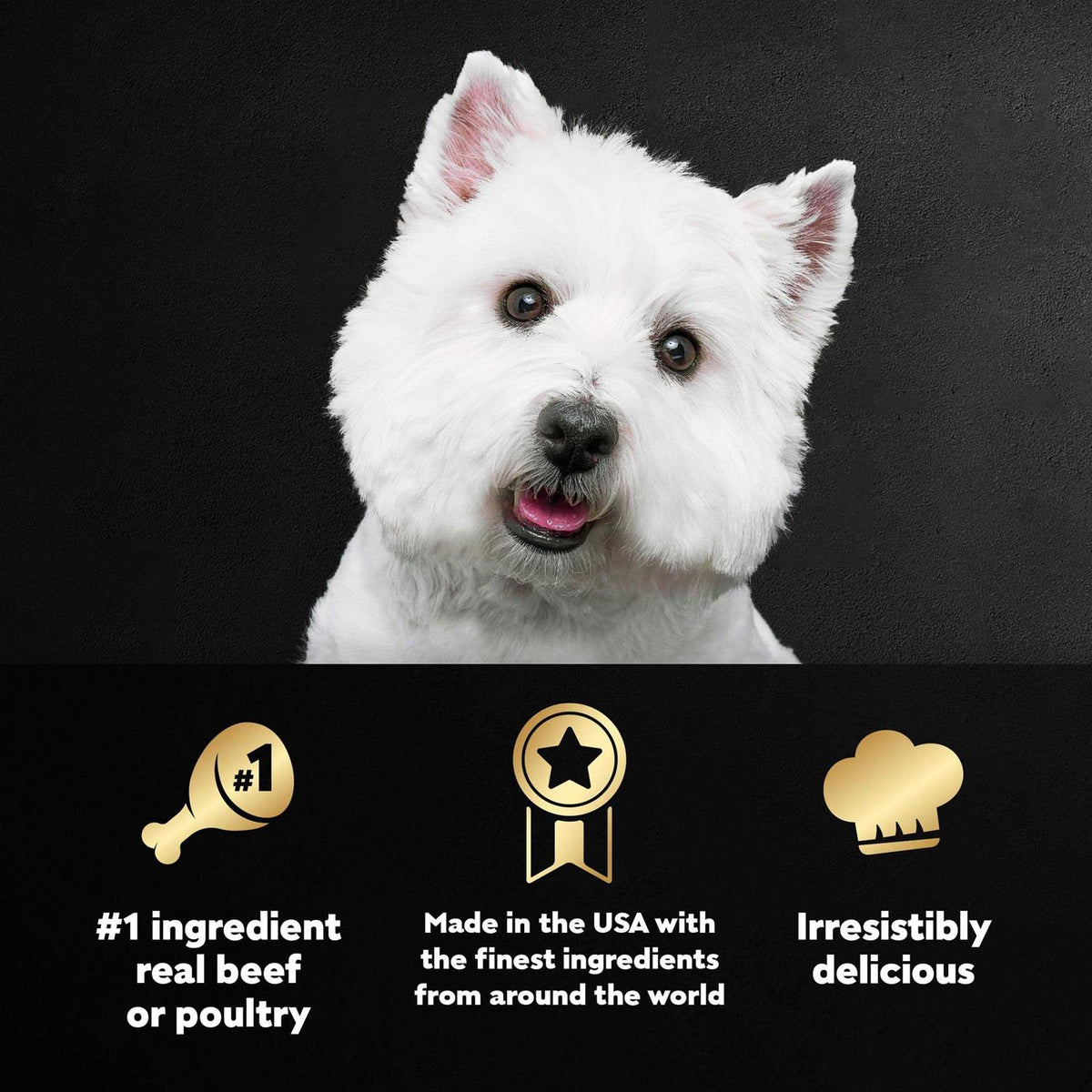 Wet Dog Food Variety Pack J271736