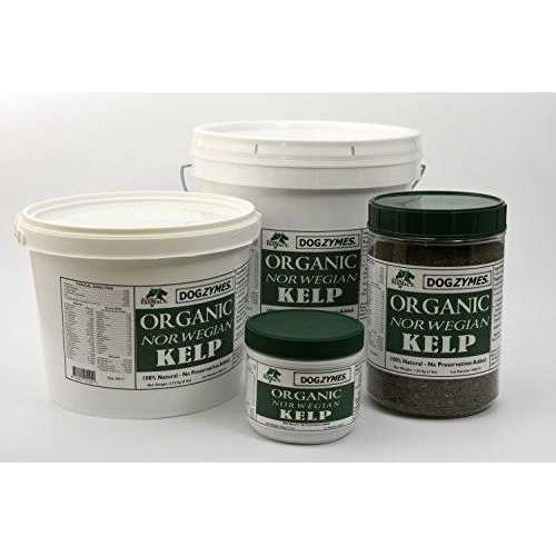 Organic Norwegian Kelp for Pets O3785