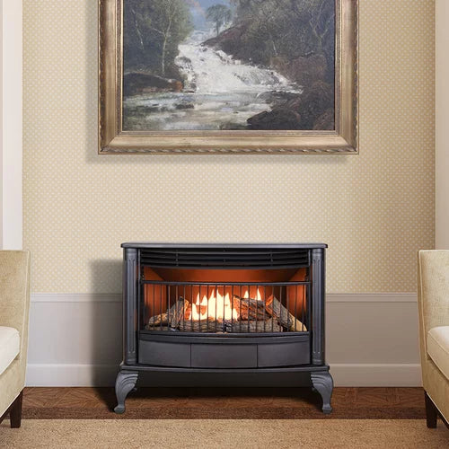 25,000 BTU Dual Fuel Stove G850412