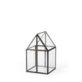 Glass Terrarium Q904681
