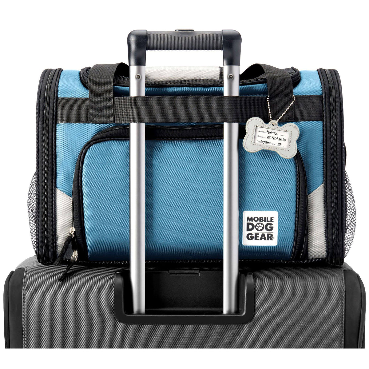 Blue Pet Carrier L941