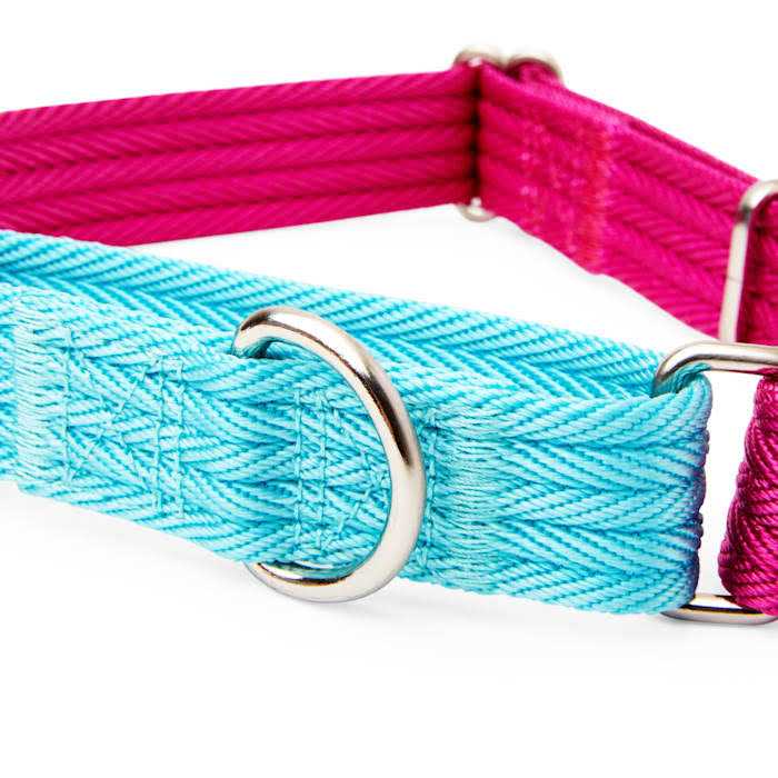 Teal Dog Collar Y39769
