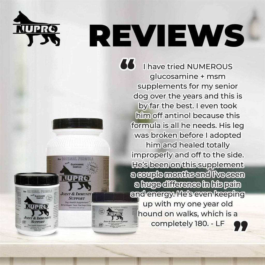 Joint & Immunity Support Dog Supplement P23493