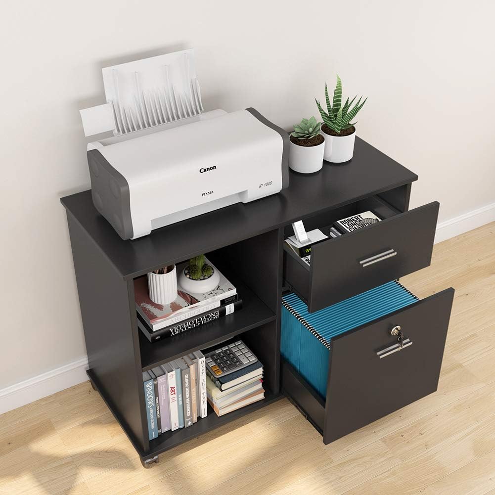 2 Drawer Mobile File Cabinet with Lock and Open Shelves V720589