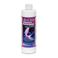Potassium Permanganate 16 oz J908147