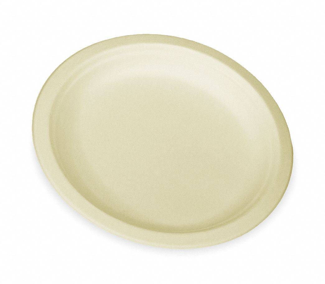 500-Count 9-Inch Compostable Sugar Cane Fiber Plate A618572