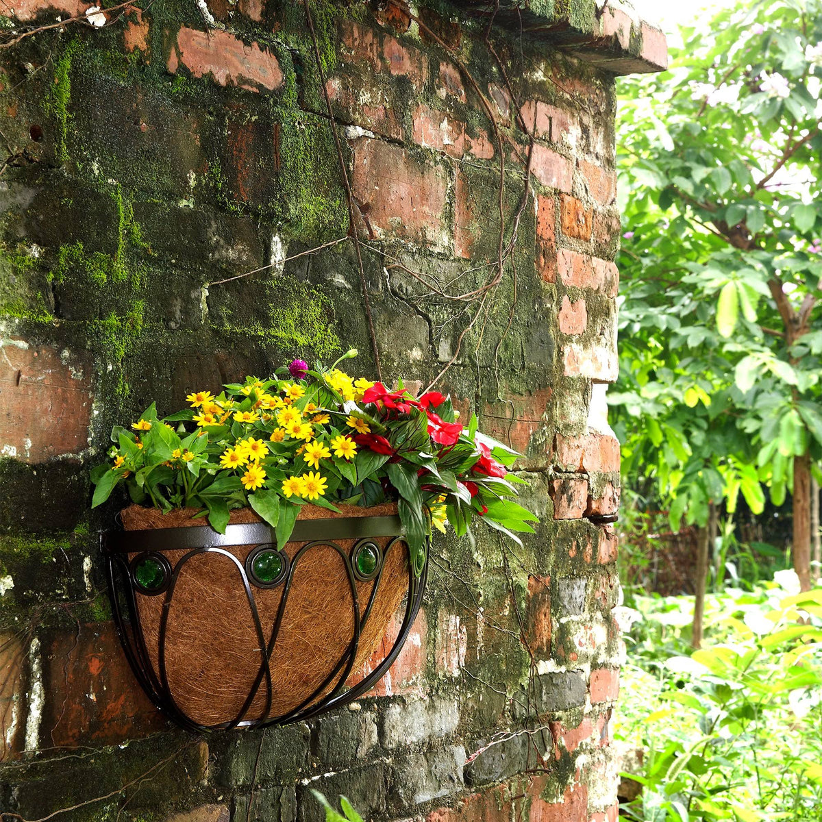 Wall Manger F8307