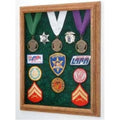 Display Case T738