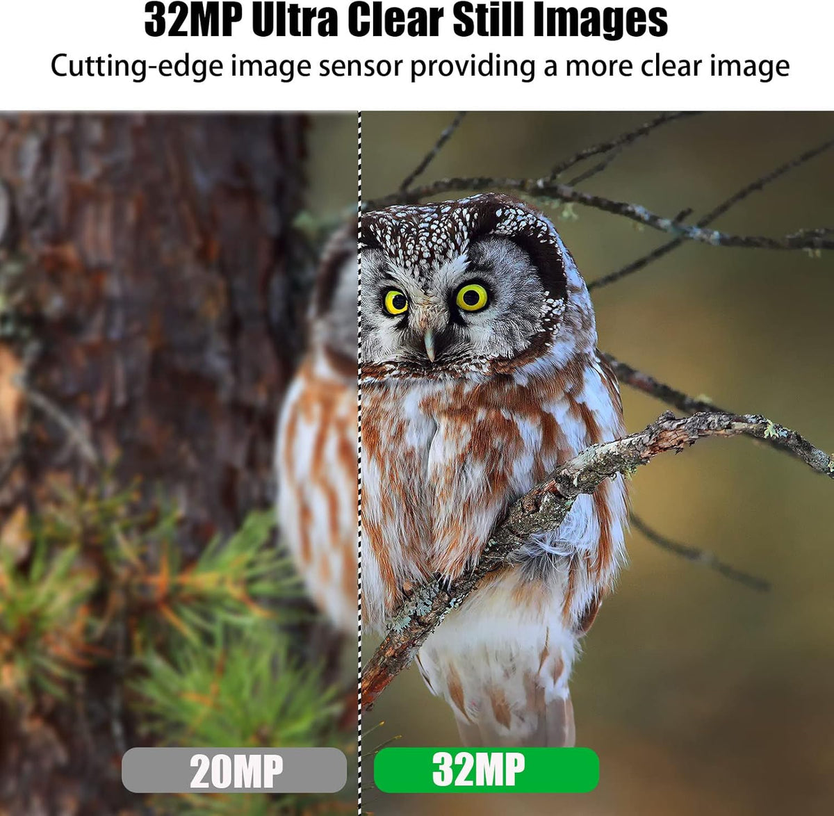 32MP 4K Night Vision Trail Camera with 32G Card & 8AA Batteries W853