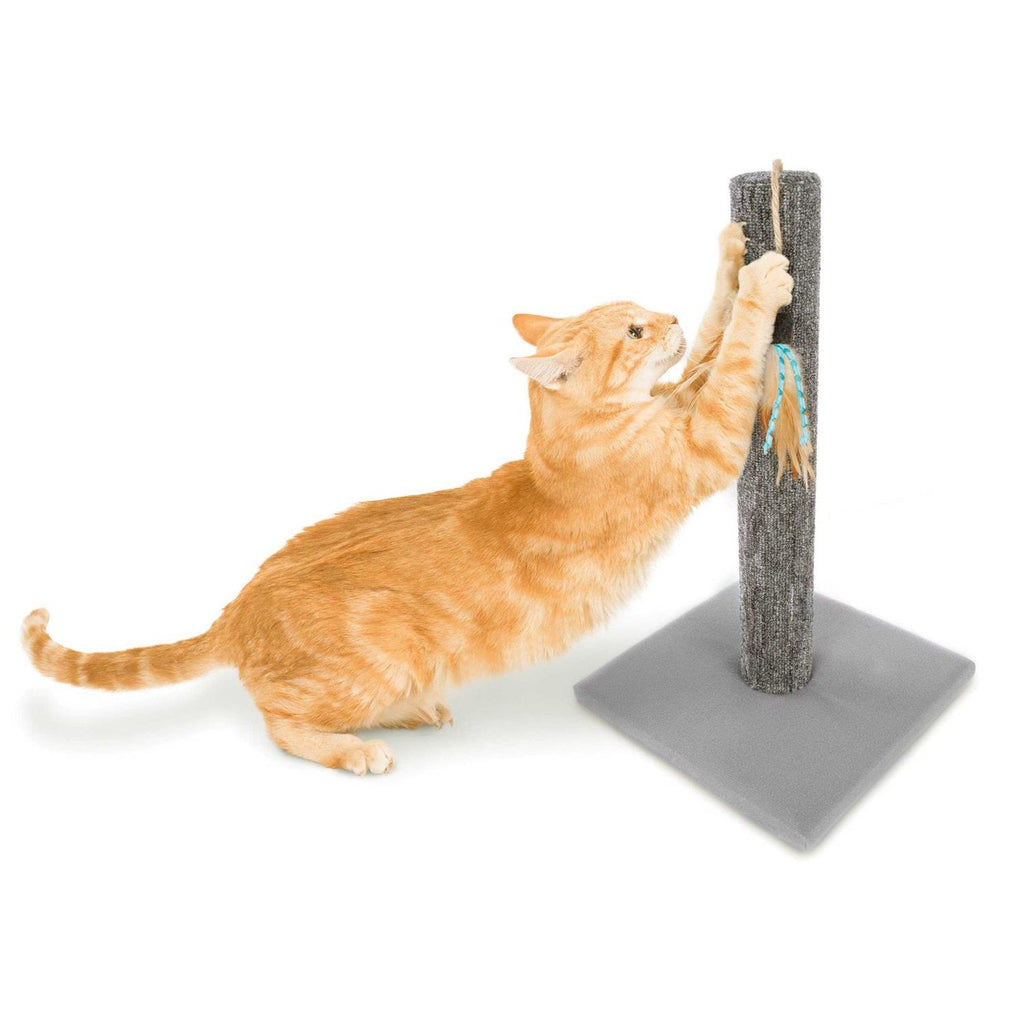 Simply Scratch Post with Feather Toy Q37789