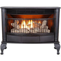 25,000 BTU Dual Fuel Stove G850412