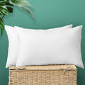 12" x 20" Set of 2 Throw Pillow Inserts D24745