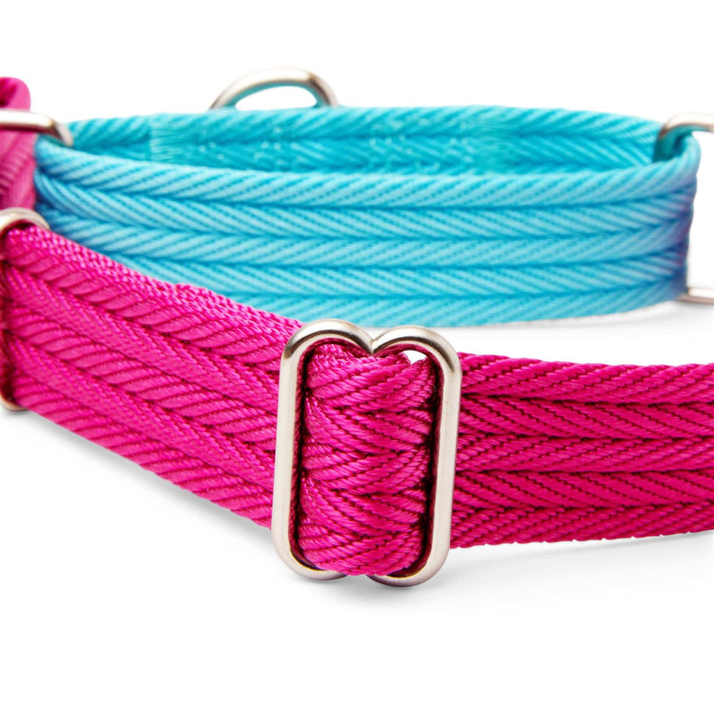 Teal Dog Collar Y39769