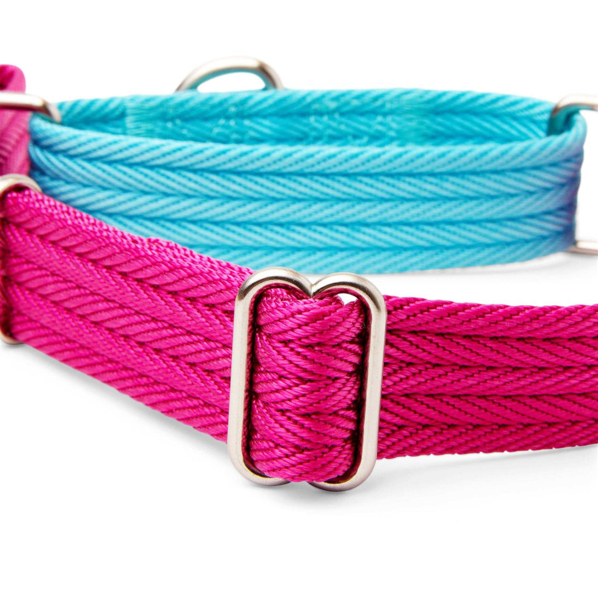 Teal Dog Collar Y39769