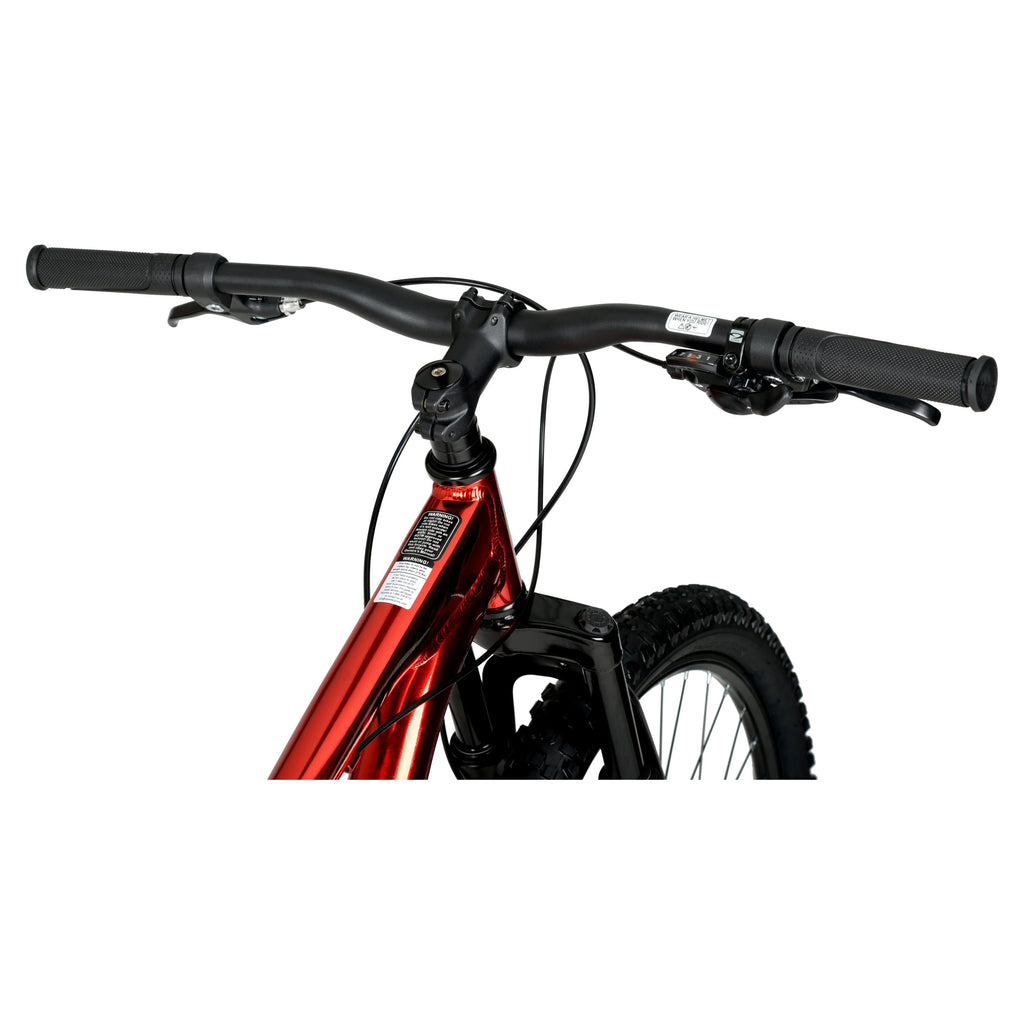 29 Dual Suspension Mountain Bike M9466