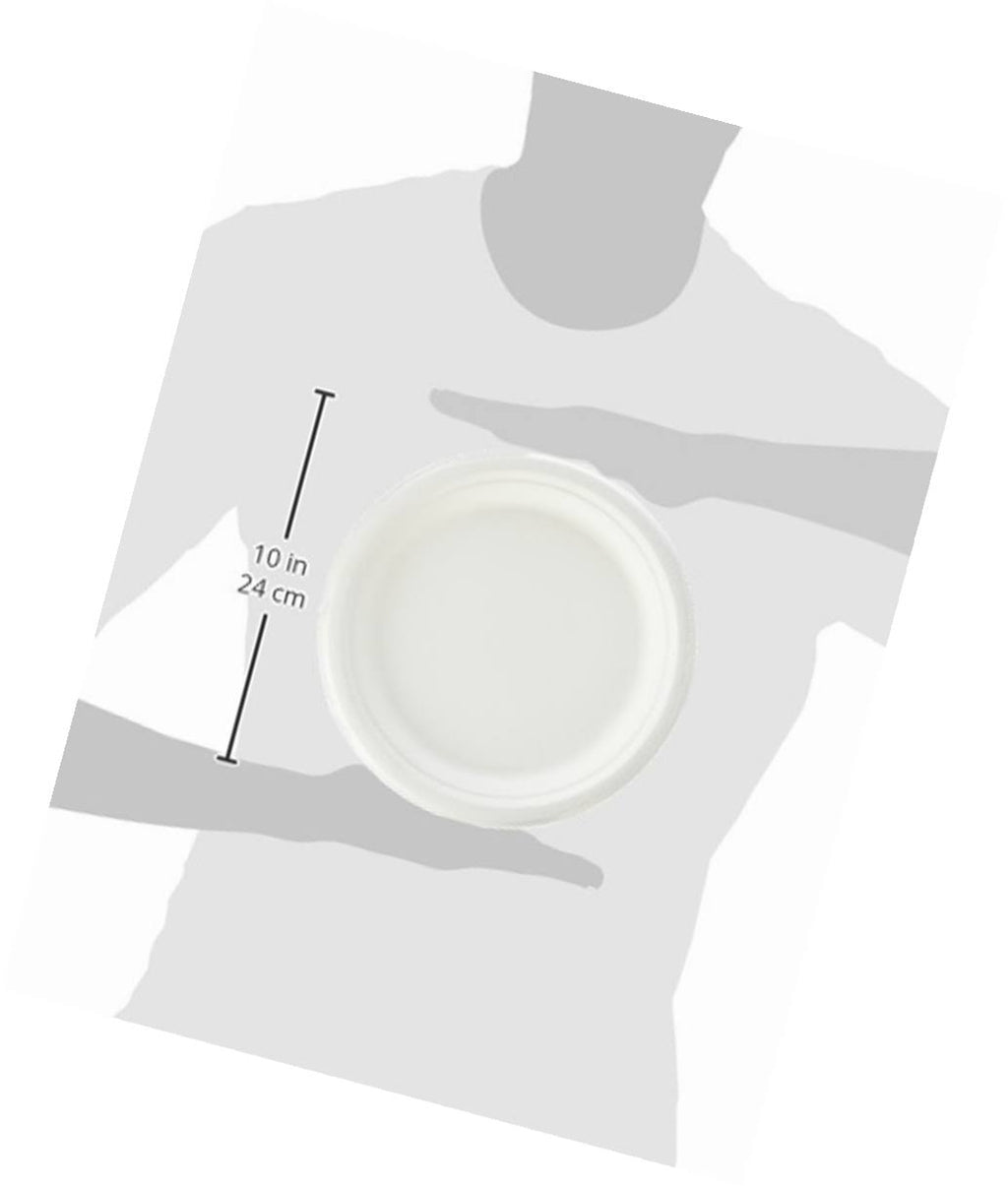 500-Count 9-Inch Compostable Sugar Cane Fiber Plate A618572