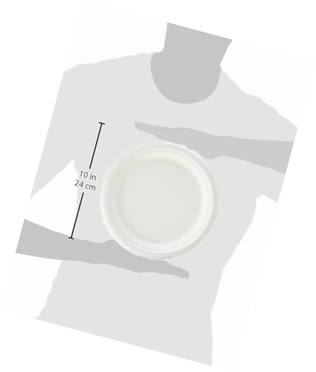 500-Count 9-Inch Compostable Sugar Cane Fiber Plate A618572