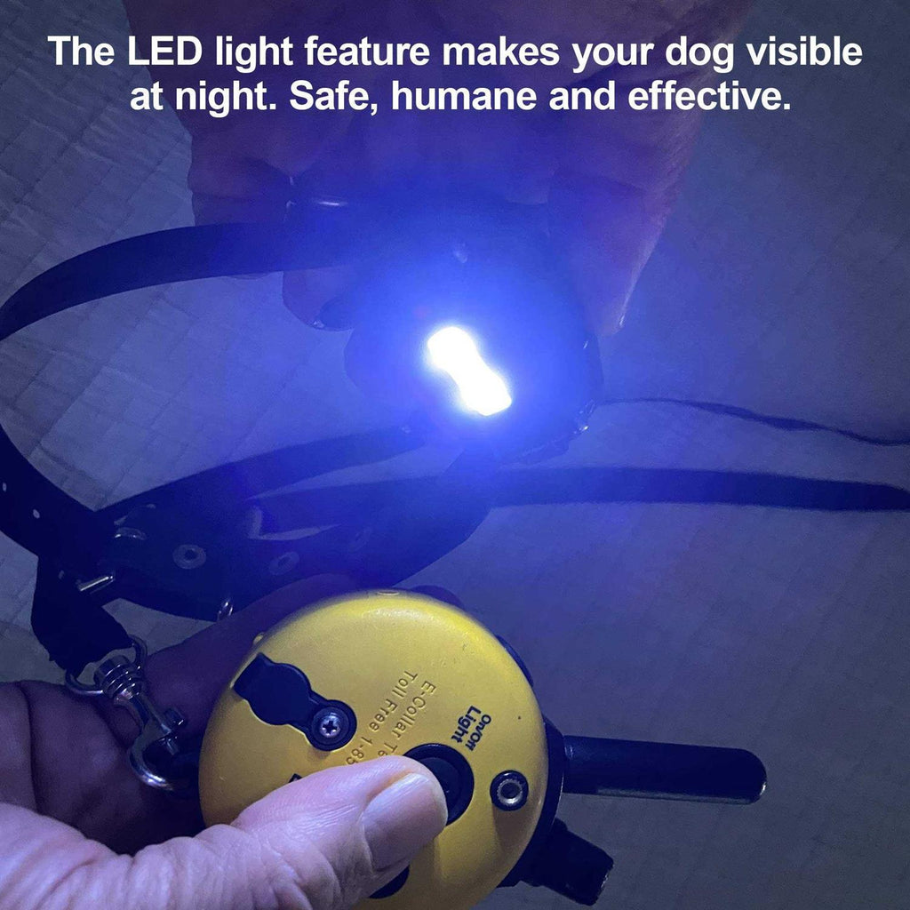 Dog Collar Remote D77719