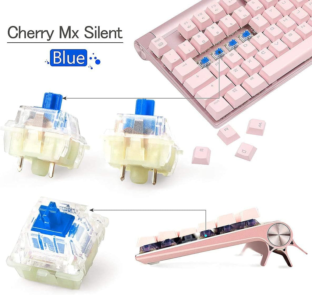 Cherry RGB Mechanical Keyboard Switch 65 PCS S306