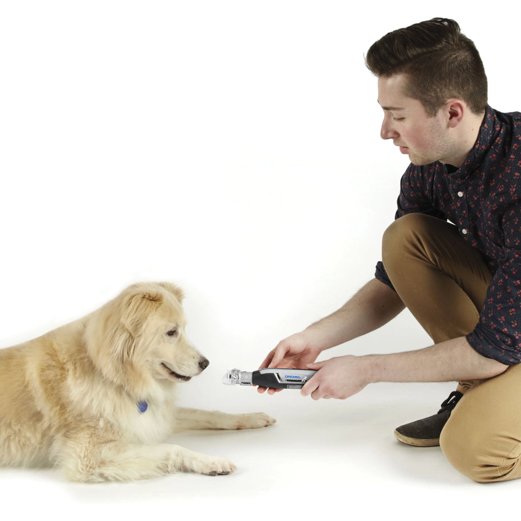 4 Volt Cordless Pet Nail Grooming Kit with 10 Grooming Disks Z848