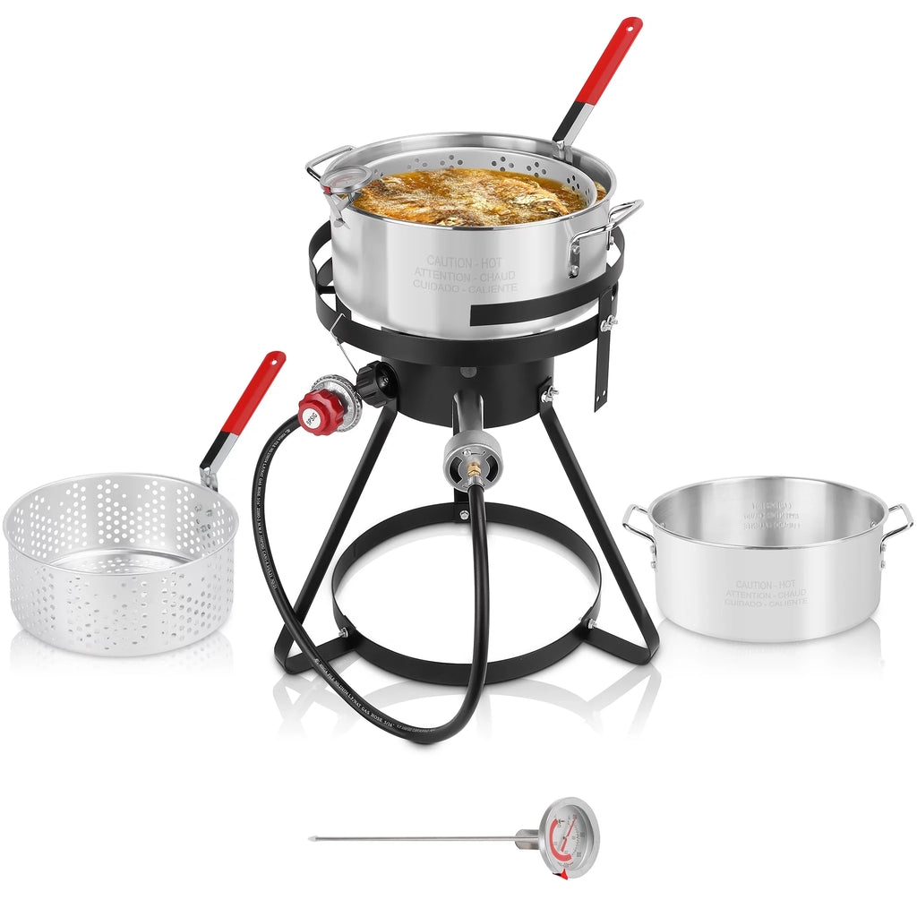 10 Quart Aluminum Propane Outdoor Fish Fryer Set W88206