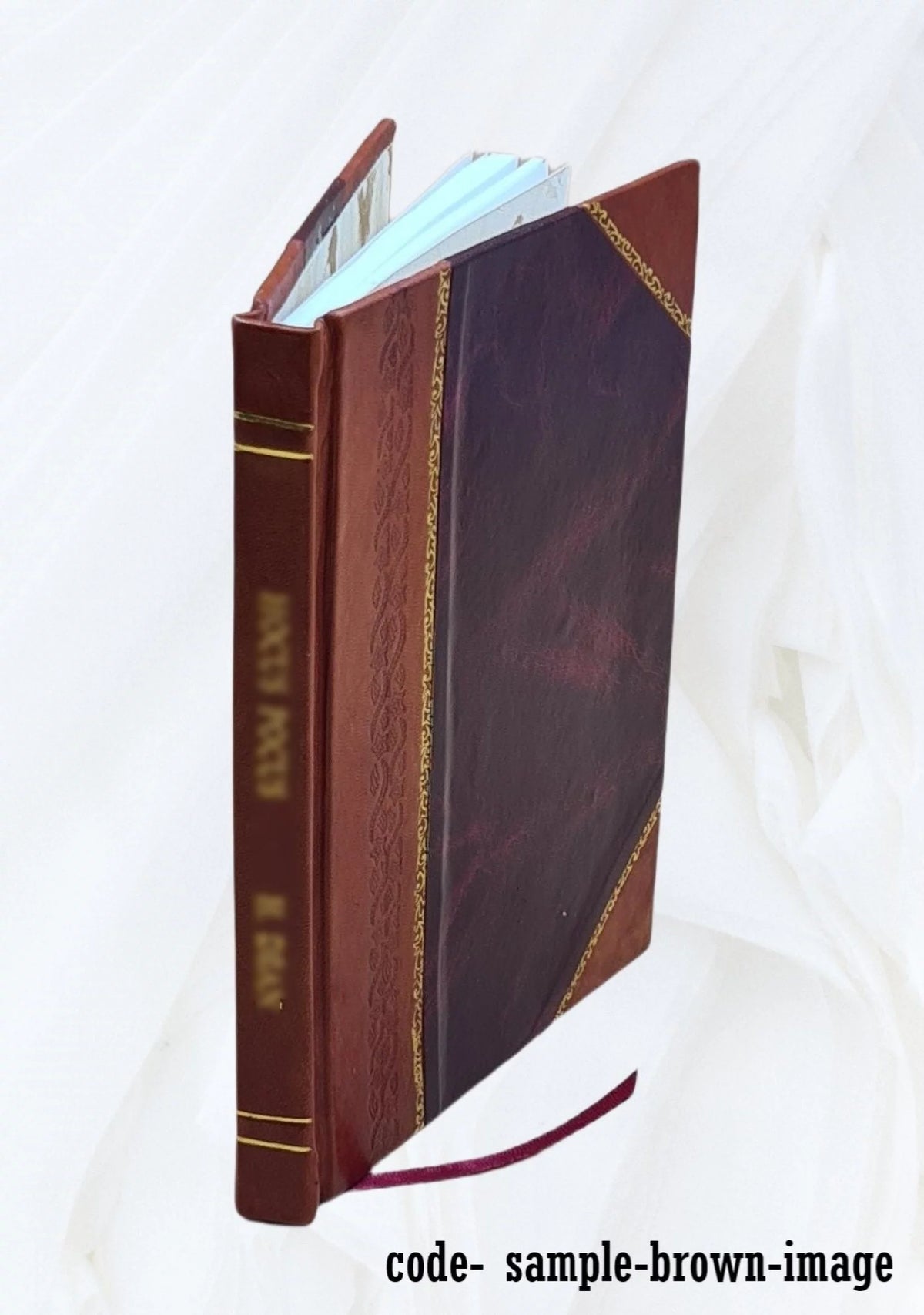 Leather Bound Book B221090