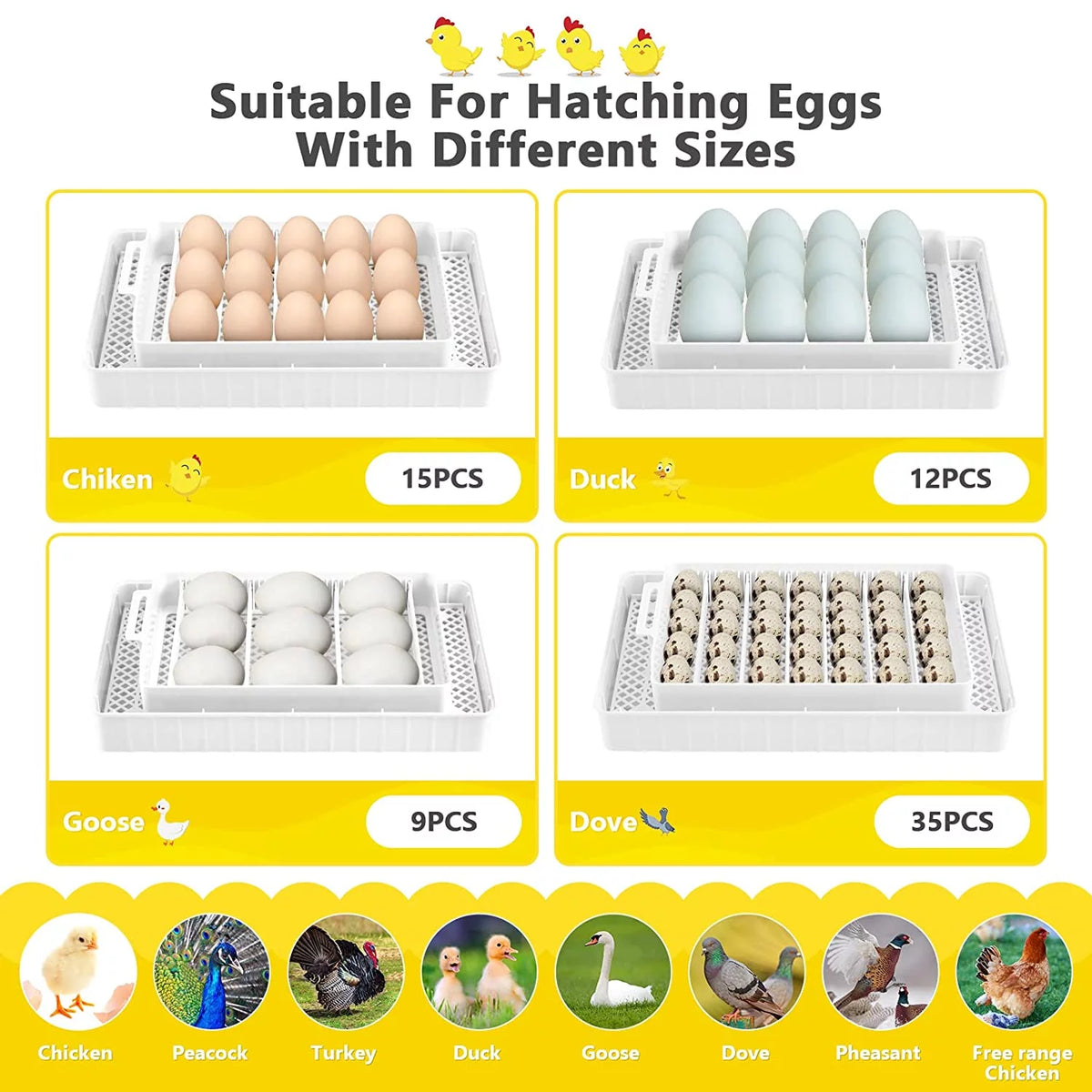 12-24 Eggs Incubator with Automatic Egg Turning and Temperature Control W98065