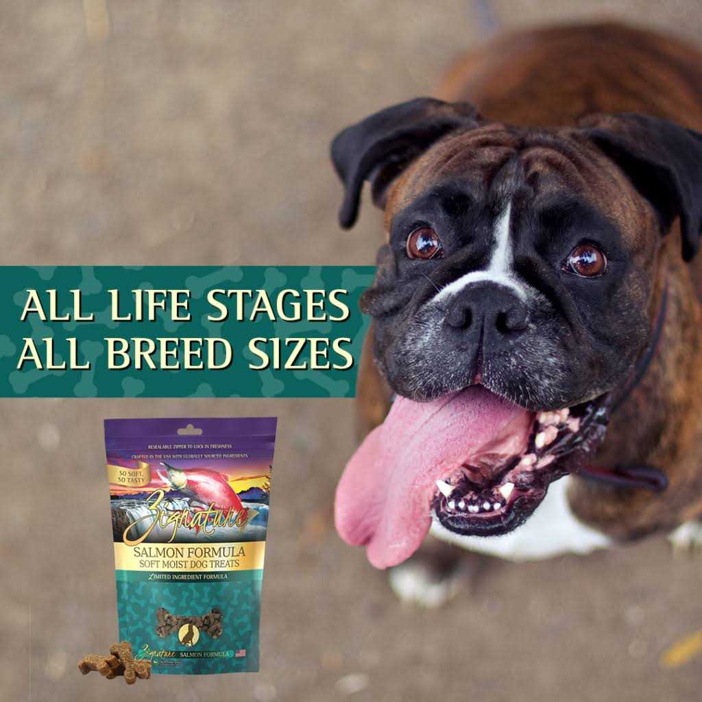 Soft Moist Dog Treats X696079