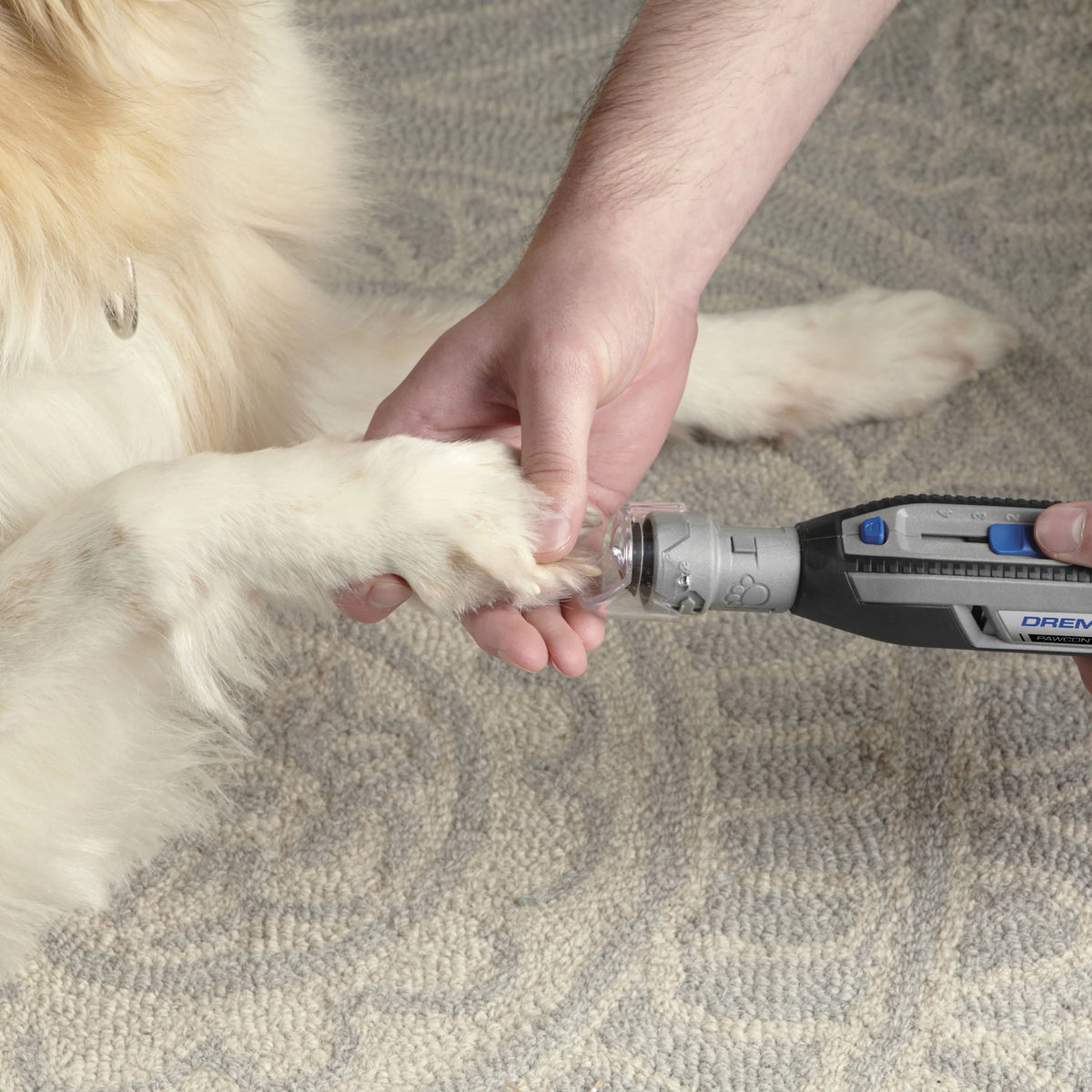 4 Volt Cordless Pet Nail Grooming Kit with 10 Grooming Disks Z848