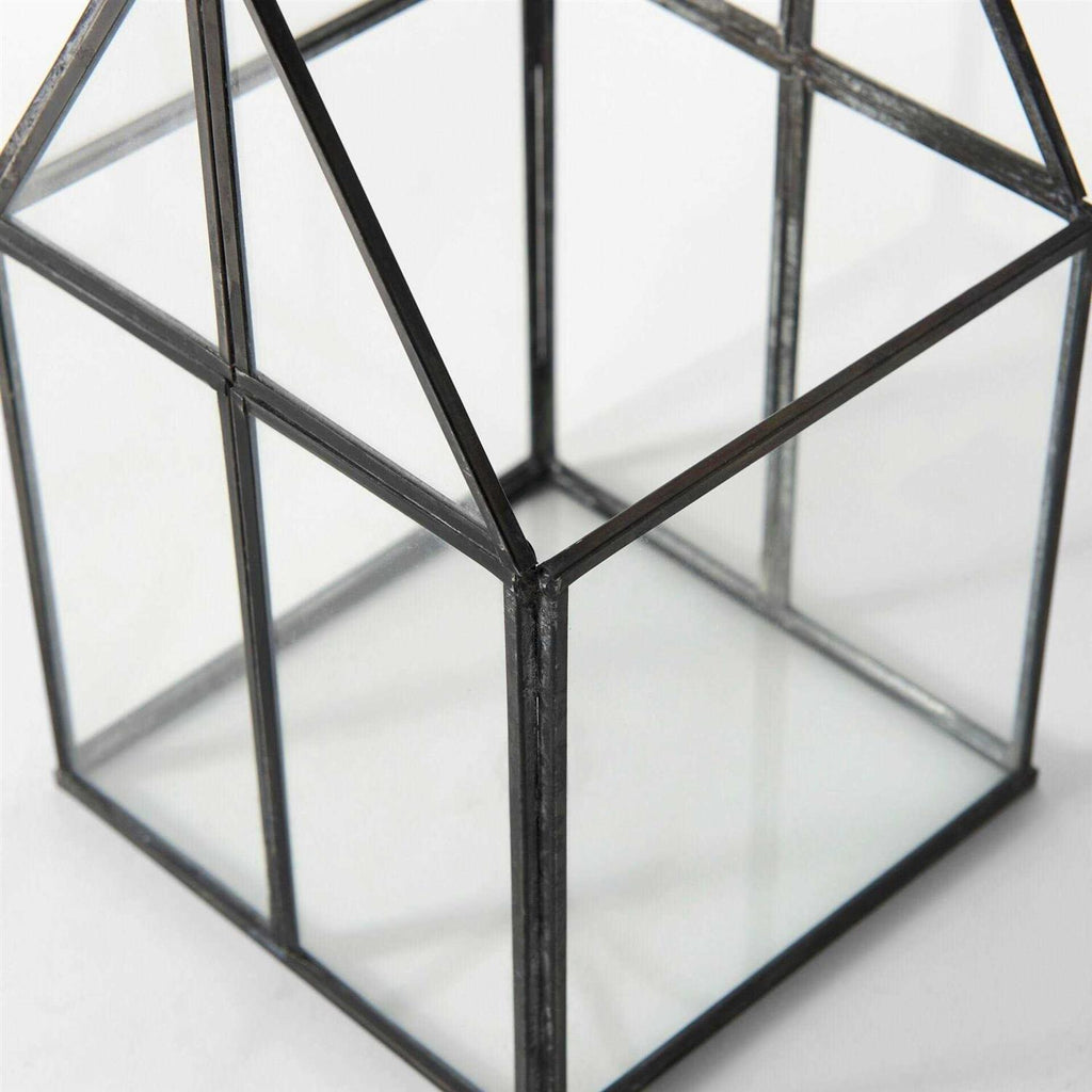 Glass Terrarium Q904681