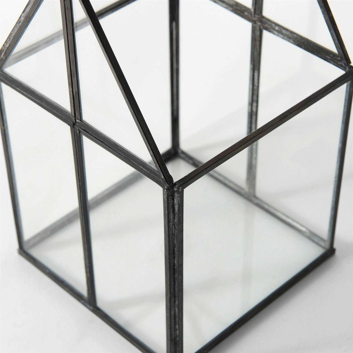 Glass Terrarium Q904681