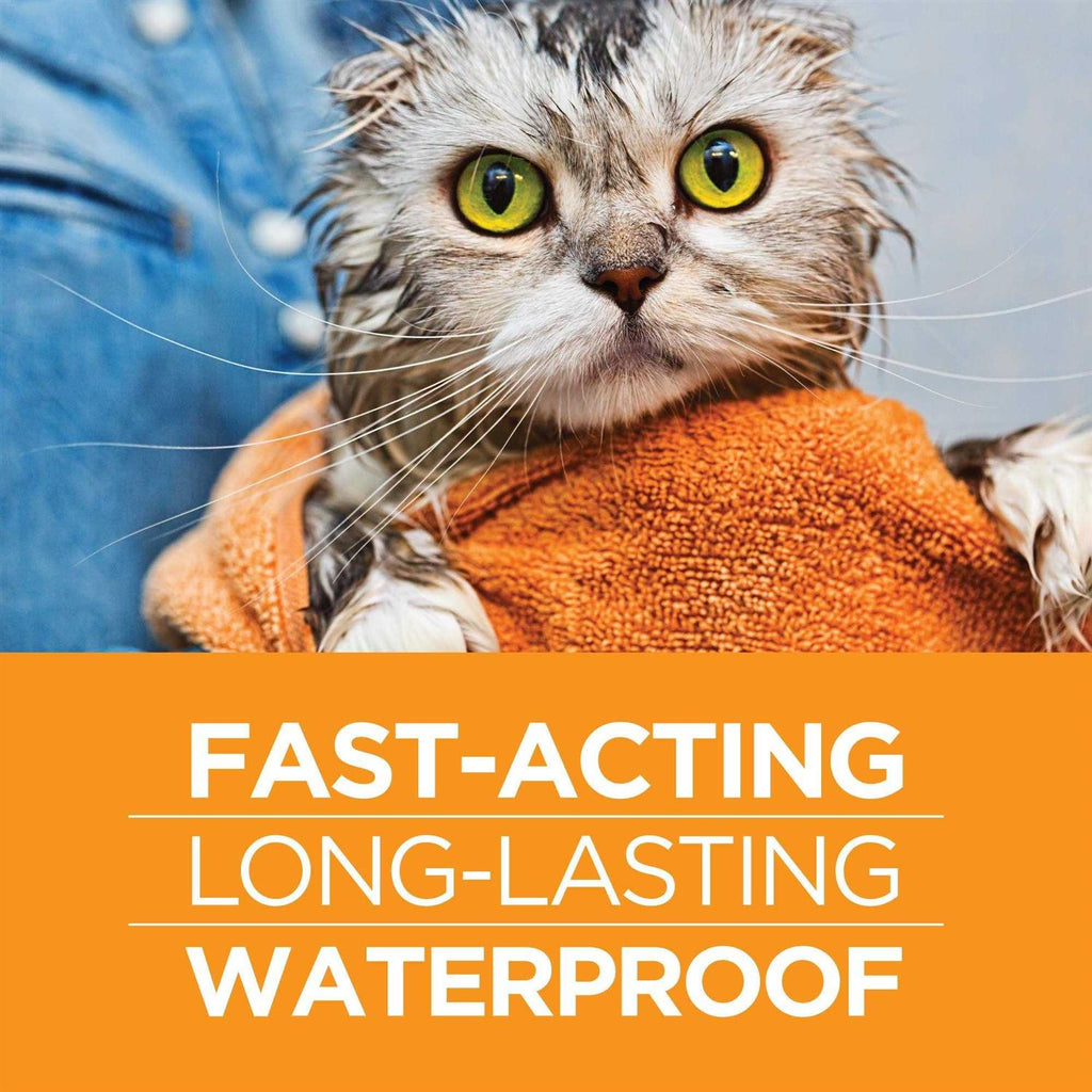 Flea Treatment for Large Cats S886