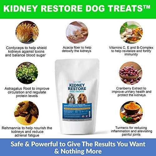 Low Protein Dog Treats for Kidney Support R472036