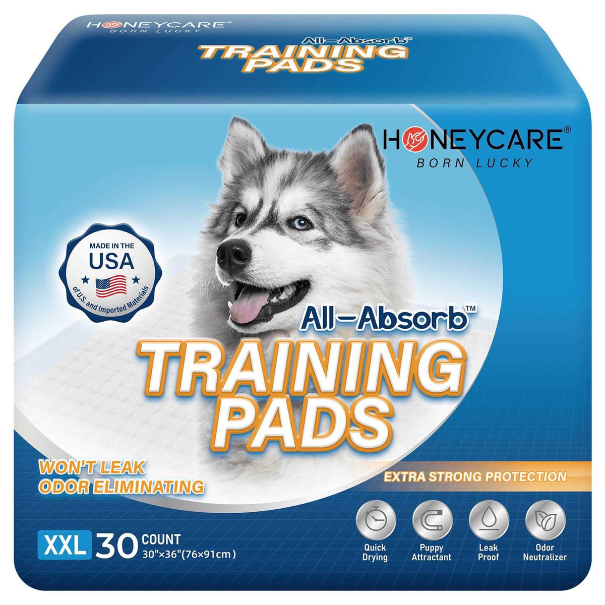 Dog and Puppy Training Pads V29137